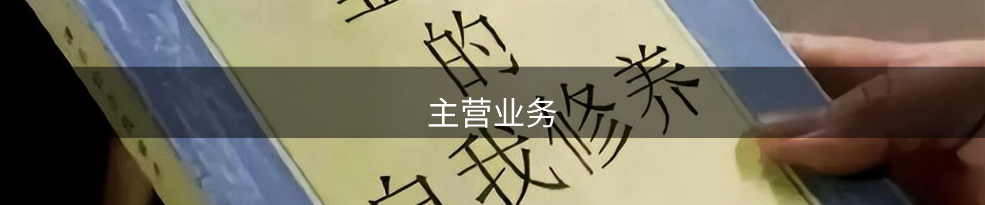 主营业务